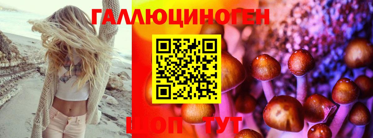 Галлюциногенные грибы ЛСД Малгобек